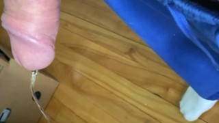 Pee on the floor in living room