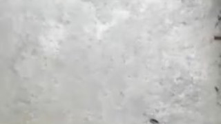 Tu morenito rico