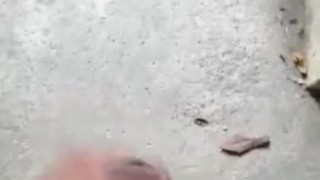 Tu morenito rico