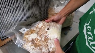 How I do Grain Spawn! (Deleted by Youtube)