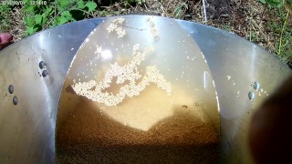 How I do Grain Spawn! (Deleted by Youtube)