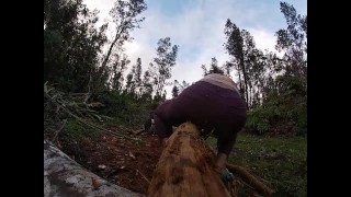 log skinning virgin no more