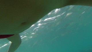 Snorkeling in reef
