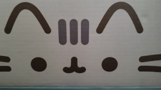 asdasdsdfsdf