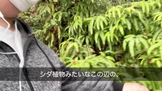 旅人が新しくなった清水寺にやってきた