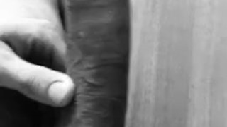 Kleines Video als vorgeschmack 