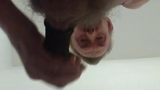 Waiting for s sexy womans pussy