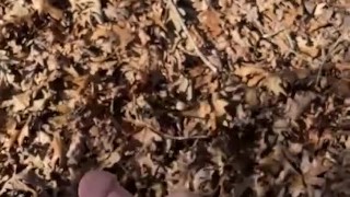 Jerking Off outside at the Lake 