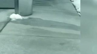 Guy at pool went in bathroom showed his dick