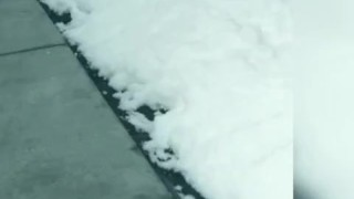 Guy at pool went in bathroom showed his dick