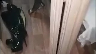 Gold Heels Squeaking