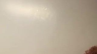 Fat Ass Twerk
