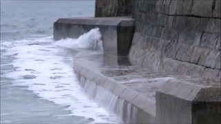 chill pipe bear time