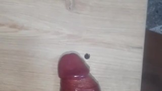 Me masturbo en webcam