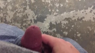 Quick cumshot in the park bathroom 