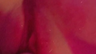 Pink pussy