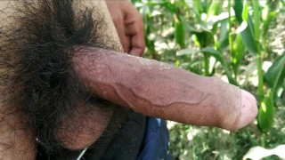 Hairy big cock, lund porn video HD