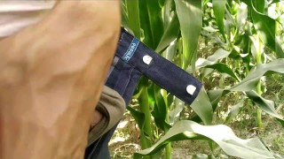 Hairy gay porn videos handjob and cumshot on plants