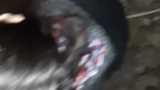 Cum in a minute when she licked pussy in a dark forest - lesbian_illusion