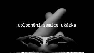 Oplodnění samice - audio