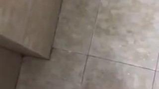 Cumshot 