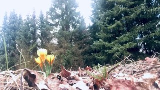 was asked to pee on the yellow flowers - it was windy