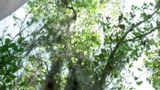 Risky public park masturbation!