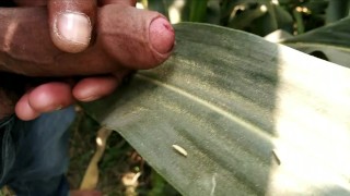 Village masturbation and cumshot on leaf