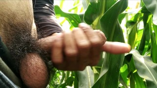 Village masturbation and cumshot on leaf