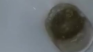 Peeing in my blue panties in the toilet