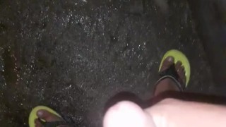 Pajas 