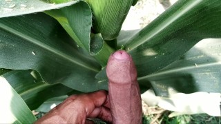 Boy is playing with big cocks in outdoor 