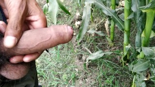 Indian pissing videos