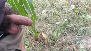 Indian boy pissing in morning 