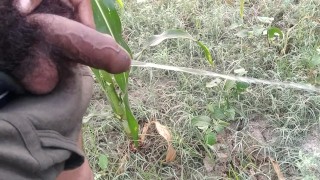 Indian boy pissing in morning 