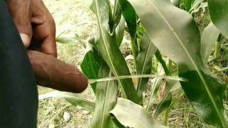 There are different Ways to Piss - I Love to Piss in Public, Indian village 