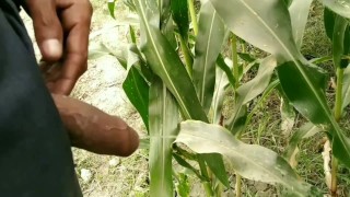 There are different Ways to Piss - I Love to Piss in Public, Indian village 
