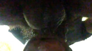 Leaking precum earlier 