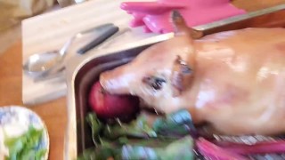 Nerdy Faery Prepares and Devours Tommy Piggy (Vegan Trigger Warning)