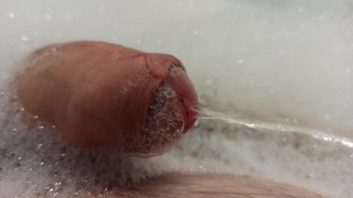 He comes, he pees and he disappears again 