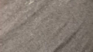 Wet pussy