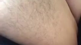 Adult Pugsley Belly | twitter: atrophybody