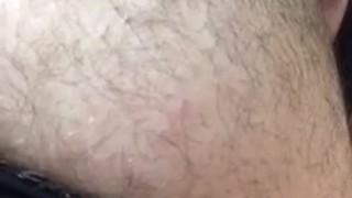 Adult Pugsley Belly | twitter: atrophybody