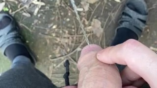 Daytime outdoor urine for pee lovers