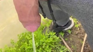 the guy came out to pour a big dick wrote in his mouth