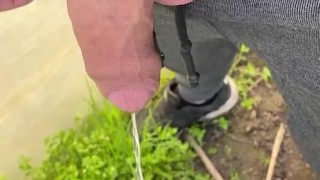 the guy came out to pour a big dick wrote in his mouth