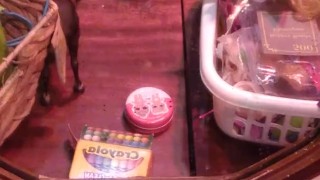 Solo jerk while friend was gone