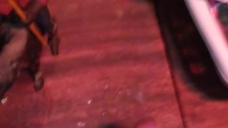 Solo jerk while friend was gone