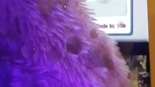 Cute Gamer Babe Facial Cumshot AMONG US 