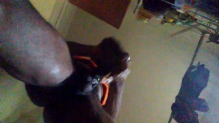 Sunday 12:44pm enjoy cumshot lovely 